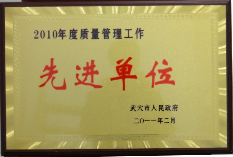 2009年度污染控制先進單位（黃岡亞東）