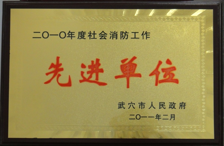 2010年度社會消防工作先進單位（黃岡亞東）