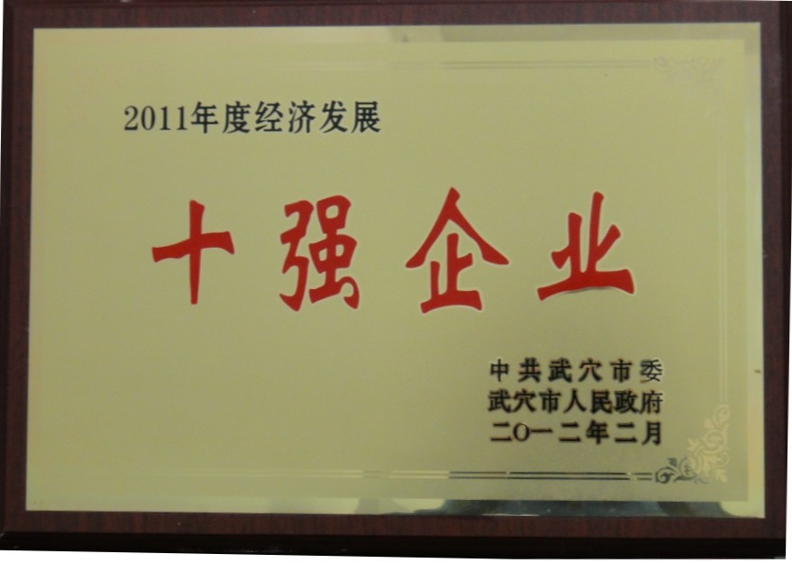 2011年度經(jīng)濟發(fā)展十強企業(yè)（黃岡亞東）