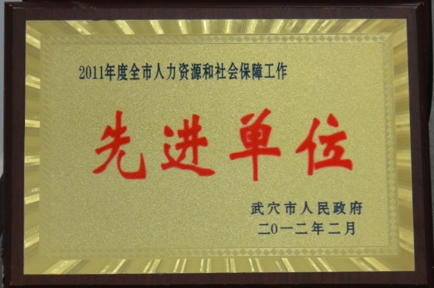2011年度全市人力資源和社會保障先進單位（黃岡亞東）