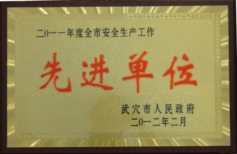 2011年度全市安全生產(chǎn)工作先進單位（黃岡亞東）