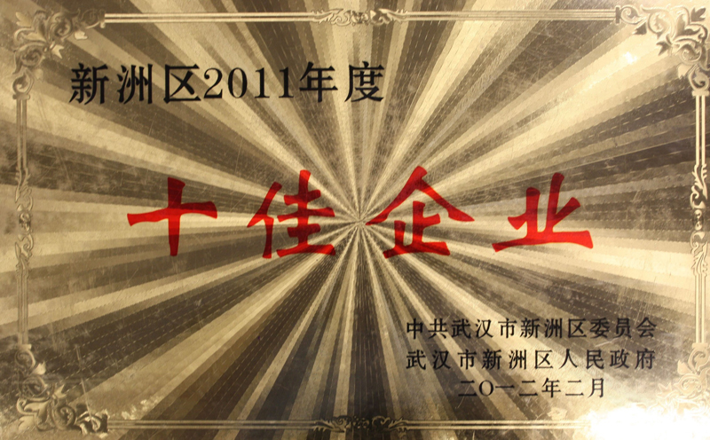 2011年度十佳企業(yè)（湖北亞東）