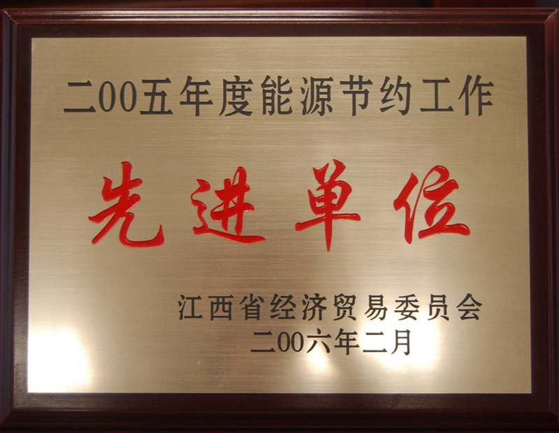 能源節(jié)約工作先進(jìn)單位（江西亞東）