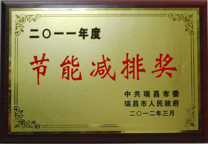 節(jié)能減排獎(jiǎng)（江西亞東）