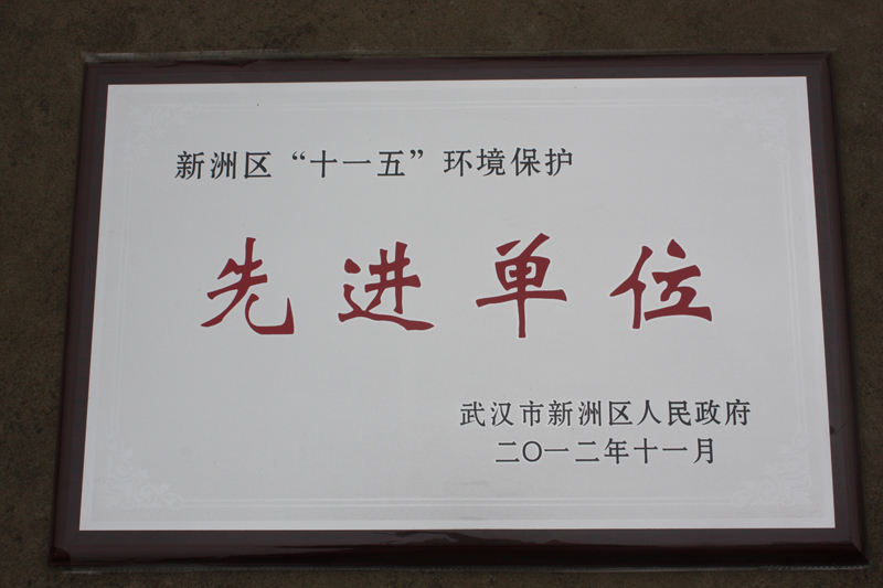 “十一五”環境保護先進單位（湖北亞東）