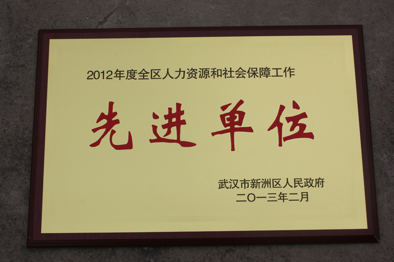 人力資源和社會保障先進單位（湖北亞東）