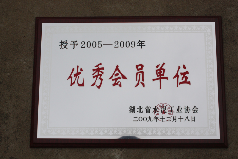 優秀會員單位（湖北亞東）