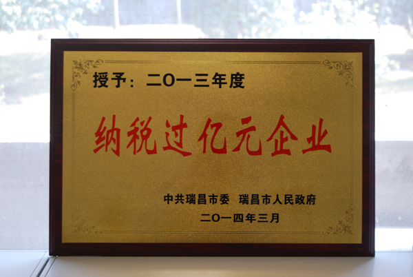瑞昌市『納稅過億元企業』（江西亞東）