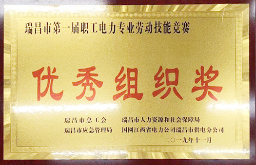 職工電力專業勞動技能競賽“優秀組織獎”（江西亞東）