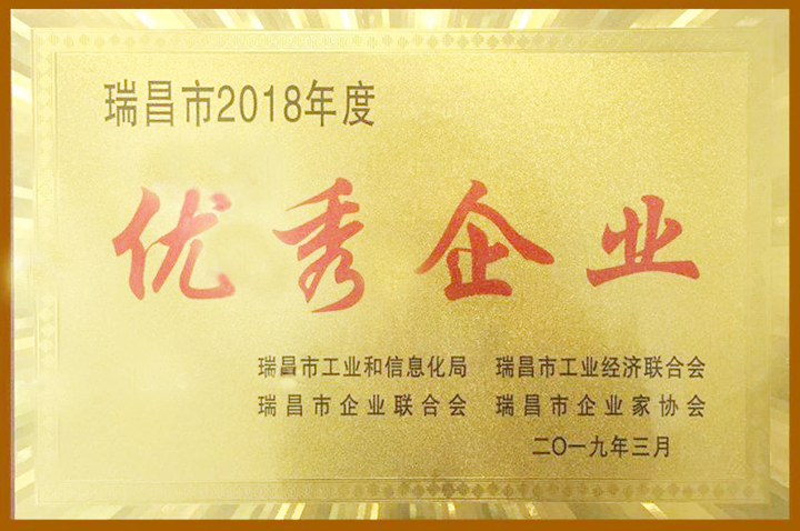 2018年度優秀企業（江西亞東）