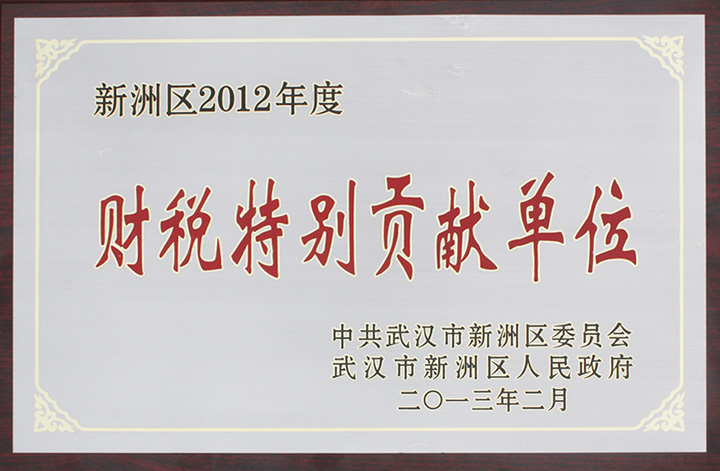 財稅特別貢獻單位（湖北亞東）